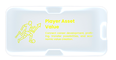 Player Asset Value